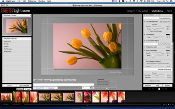 Adobe Lightroom Slideshow module